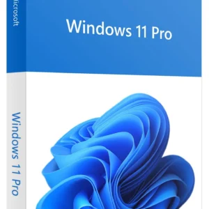 Microsoft Windows 11 Pro